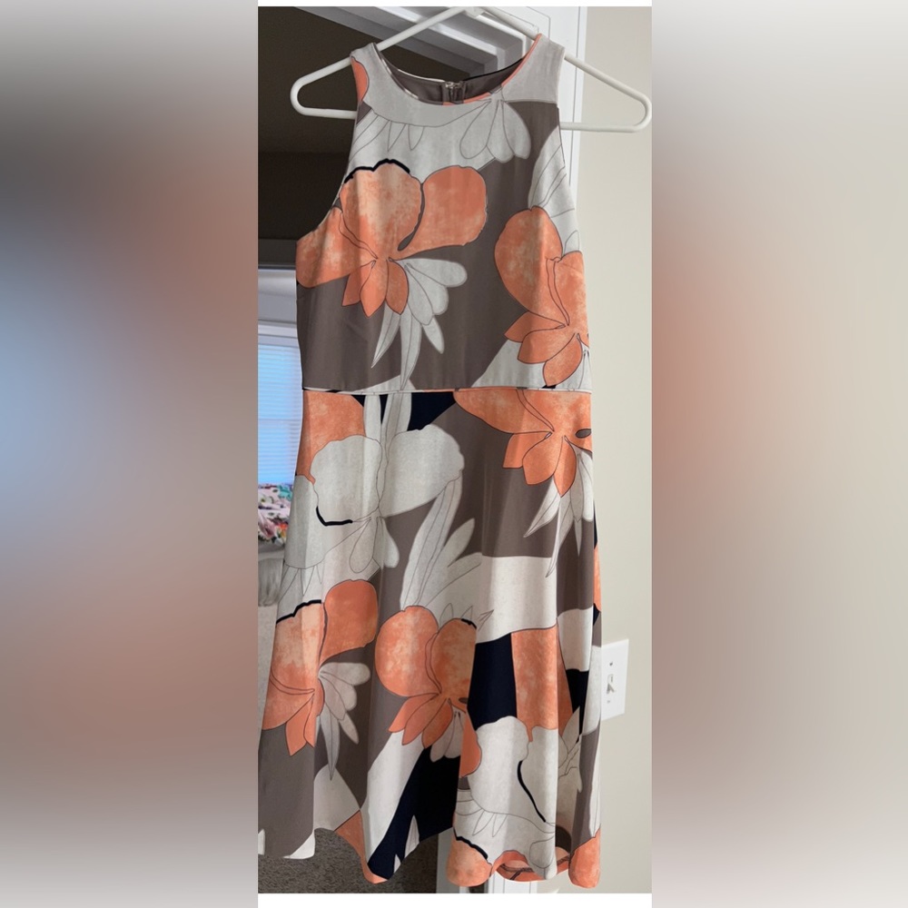 Ann Taylor Dress